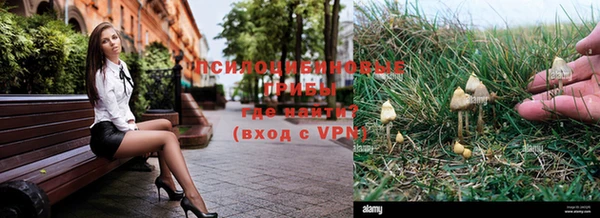 мет Абинск