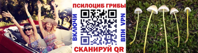 Псилоцибиновые грибы ЛСД  Хабаровск 